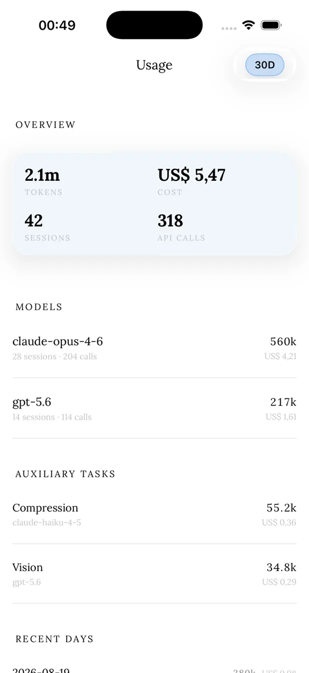 The Usage screen showing tokens, cost, models and auxiliary tasks